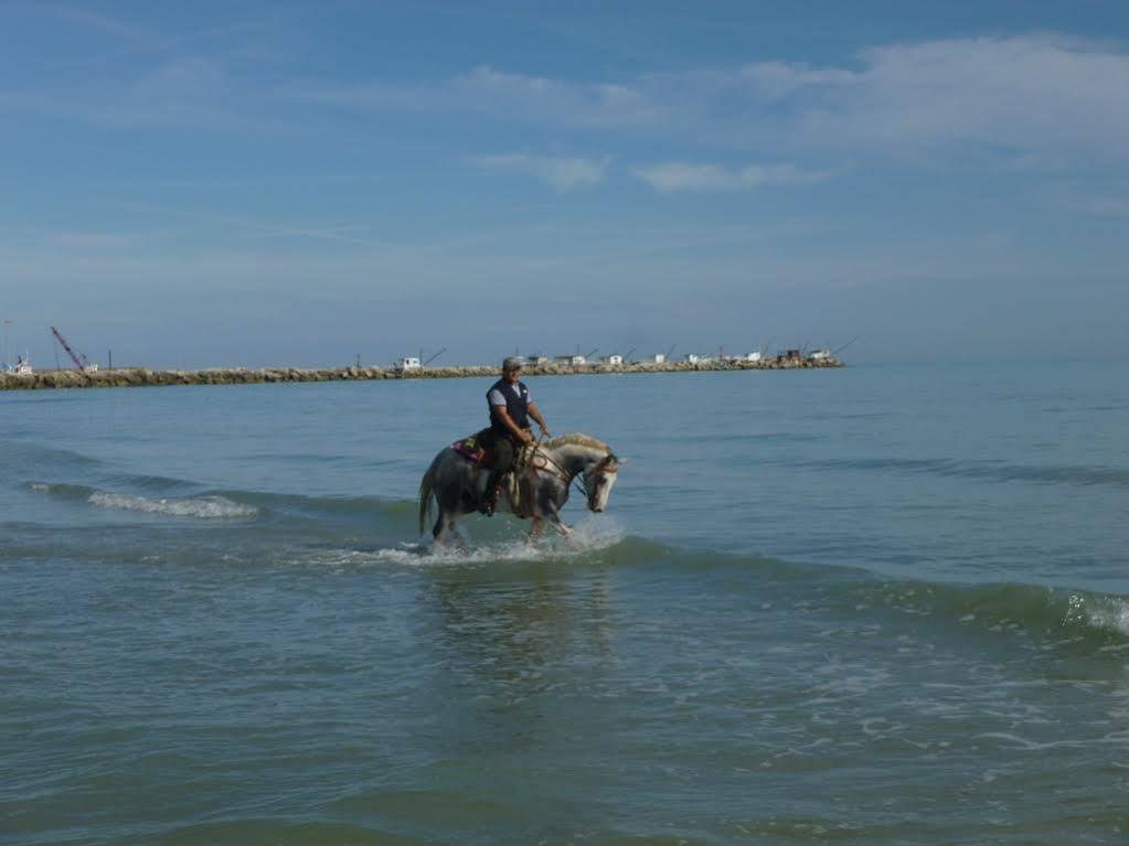 Elisir B & B Pescara Buitenkant foto