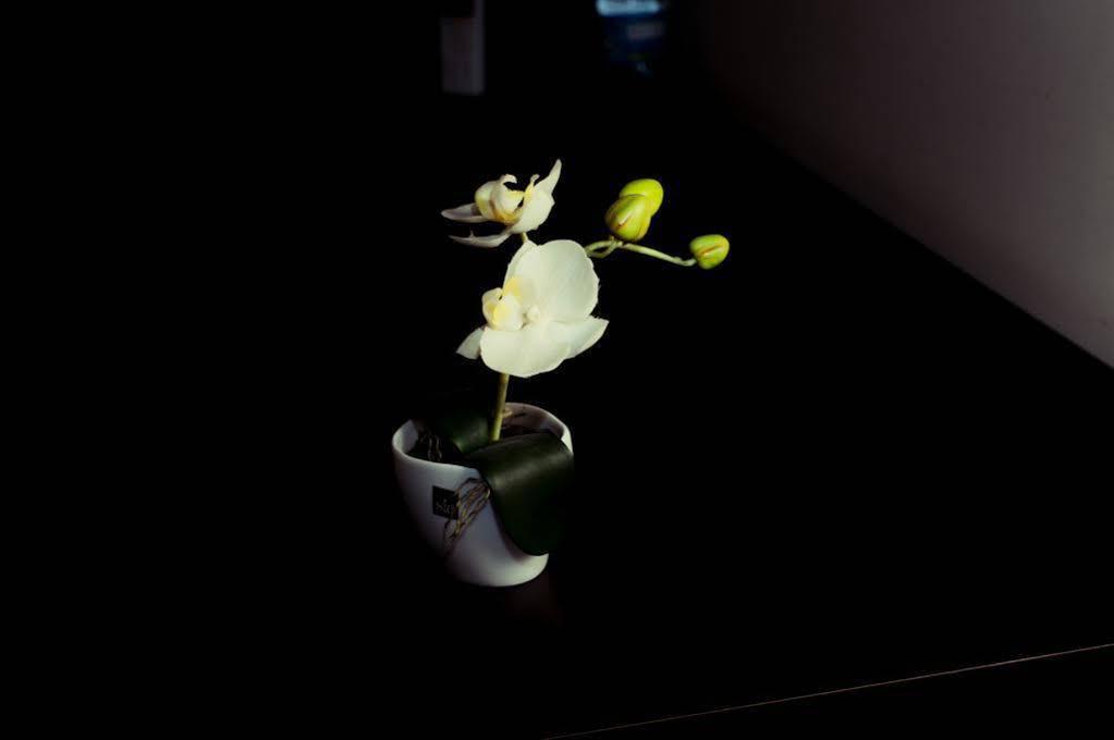 Elisir B & B Pescara Buitenkant foto
